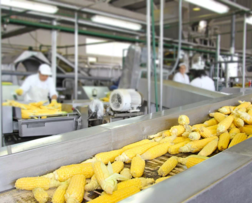Food Processing Food Processing